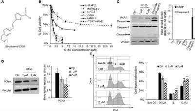 Novel Compound C150 Inhibits Pancreatic Cancer Cell Epithelial-to-Mesenchymal Transition and Tumor Growth in Mice